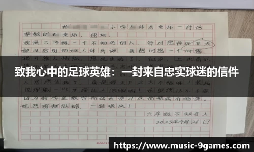 致我心中的足球英雄：一封来自忠实球迷的信件